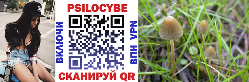 Псилоцибиновые грибы ЛСД  Купить где  Дербент 